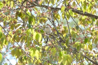 ピンクに囲まれて 2022.9.22（木）