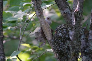 見ないでよ！ 2022.9.28（水）