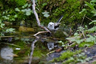 国際非暴力デー 2022.10.2（日）