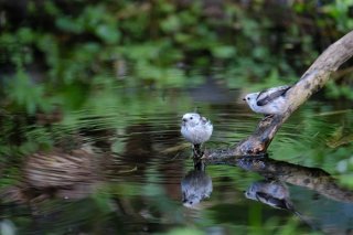 秋と冬の足音が聞こえた! 2022.10.5(水)