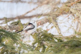 僕らはジョン・レノンがいない世界を生きる 2022.10.9(日)