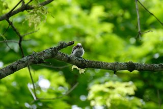 同じような毎日に飽きたら 2022.10.12(水)