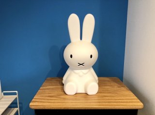 ミッフィーのライトが寝かしつけをお手伝い 2022.7.7（木）