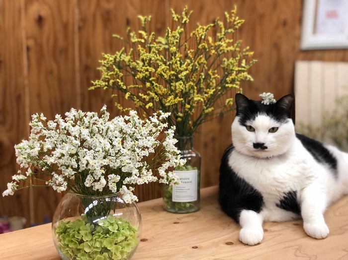 平社員が仕入れ過ぎて身動き取れないってみんなに叱られてたわ byさぶ店長 （Ｃ）コクハク