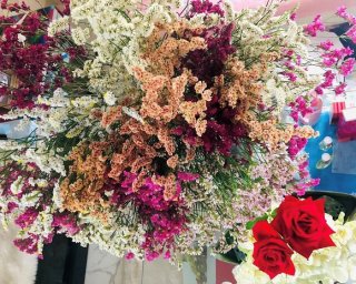 わ、簡単！ハイブリッドスターチスを流行りのドライにする！