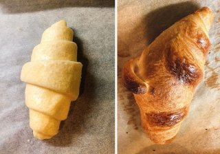 【Picard】並べて焼くだけ！冷凍パン食べ比べ 2022.8.2（火）