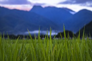 豊かで静かなる夜明け 2022.８.1（月）