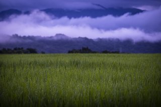 朝露が胸に染む 2022.11.24(木)