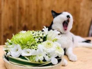 新盆の最新マナーを解説!猛暑&コロナ禍で故人を偲ぶには…