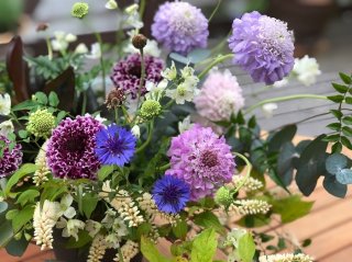 夏の切り花“最大”の悩み!プロが解説&実践する花持ちの秘訣