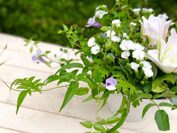 白いラーメンどんぶりを使ってみましたよ （C）コクハク