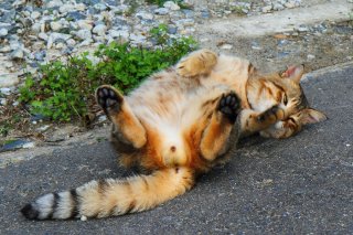 たまたまは“気持ちいいの天才”♡ セルフマッサージ再び~!