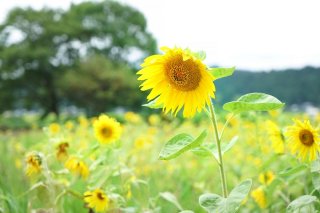 夏もそろそろ終わりかな 2022.9.1（木）