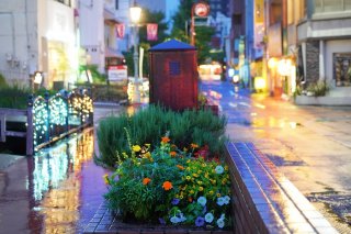 雨の日の相棒 2022.9.30（金）