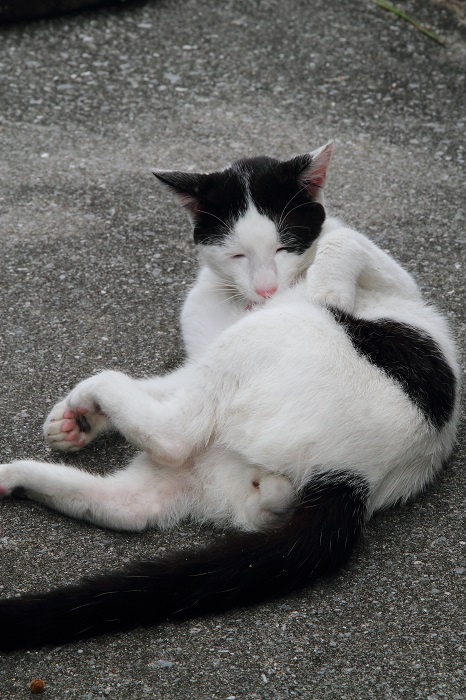 （写真:芳澤ルミ子）