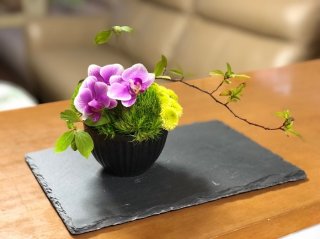 ダイソー食器棚は驚異!めちゃスゴ100均グッズでお花生活<2>