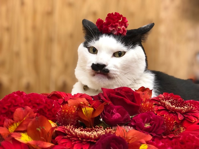 ワシも還暦超えたで　byさぶ店長（C）コクハク