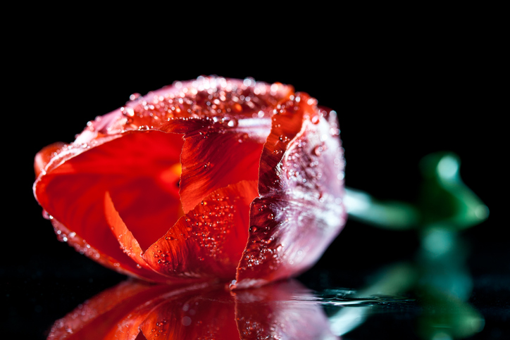 ここは、悦んでる（写真:iStock）