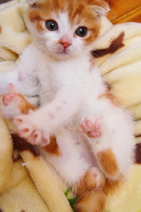 （写真:芳澤ルミ子）