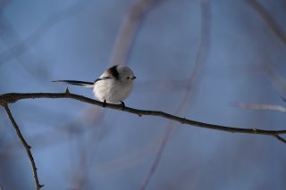 都会の雑踏で聞こえた地元の方言 2022.10.23（日）