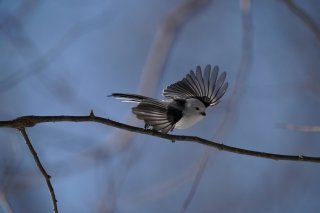 21時の魅力的なお誘い…のる？ のらない？ 2022.10.30（日）