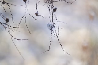 誰かに「見つけてもらいたい」と思う気持ち 2022.11.2（水）