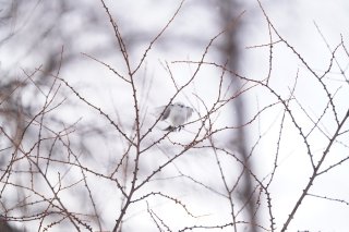 「いつか」じゃなくて「きょう」行こう 2023.1.29（日）