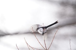 あけおめ！ 一休さんがこんなこと言ってたよ 2023.1.1（日）