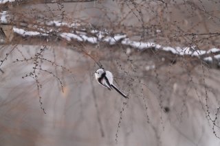 おばあちゃんになっても恋したい？ 2022.11.30（水）