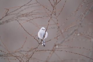 大人こそ切り替えが大事！ ネガティブな気持ちは置いていこう 2022.12.28（水）