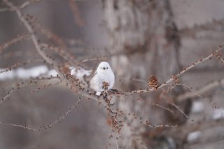 毎日ちゃんとお腹が減るってすごいこと 2023.1.8（日）