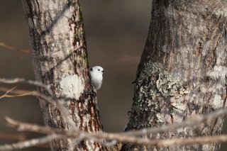 長く続く関係 きっかけはちょっとしたこと 2022.11.6（日）