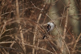 重力との戦い方…あらがうか受け入れるか？2022.11.11（金）