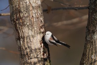 つまずいた時、自分ひとりで立ち上がれる？2022.12.11（日）