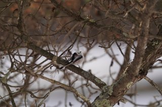久しぶりの友人に会って「中学生」に戻った 2023.2.8（水）