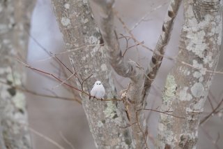 恋の始まりには「思い違い」が役に立つ 2022.12.21（水）