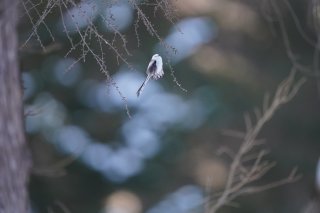 外で心が乱されても居場所があれば大丈夫 2022.11.20（日）