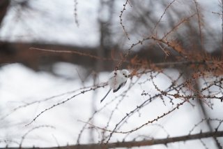 色々高くて、やりくり上手になりたいこの頃 2023.2.5（日）