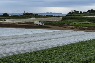 色とりどりの絨毯 2022.10.24（月）