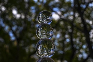 新宿から35分！「里地里山」で心に栄養を 2022.11.17（木）