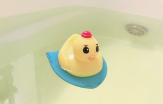 「アヒル隊長 大冒険セット」再販に歓喜！ 2022.11.22（火）