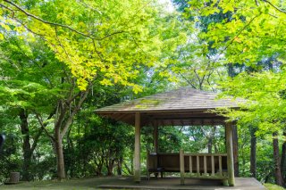 新海誠作品「言の葉の庭」は“年下男子に好かれるツボ”だらけ