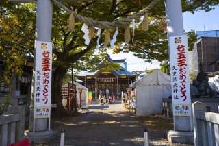 いつか彼らが大人になるとき 2022.11.28(月)