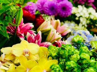 切り花が「長持ちする場所」ってどこ？遠ざけたい意外な天敵