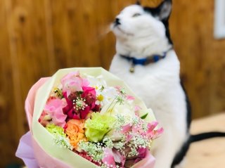 花のプレゼントもめっちゃ多い季節やで　byさぶ店長（C）コクハク
