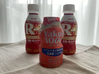ヤクルト1000は発売当初からのお付き合い♡（C）コクハク