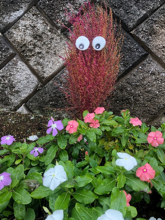 誰や、目つけたん（笑）（C）コクハク