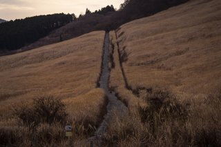 ゆっくりと歩くには良い日、一期一会の風景 2023.2.24（金）