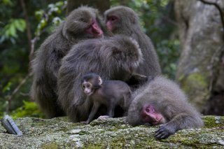 寒い時は寄り添うのが良いね 2022.12.23(金)