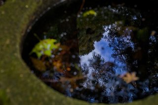 冷気に青空が滲みる、春はまだかな？ 2023.2.10（金）